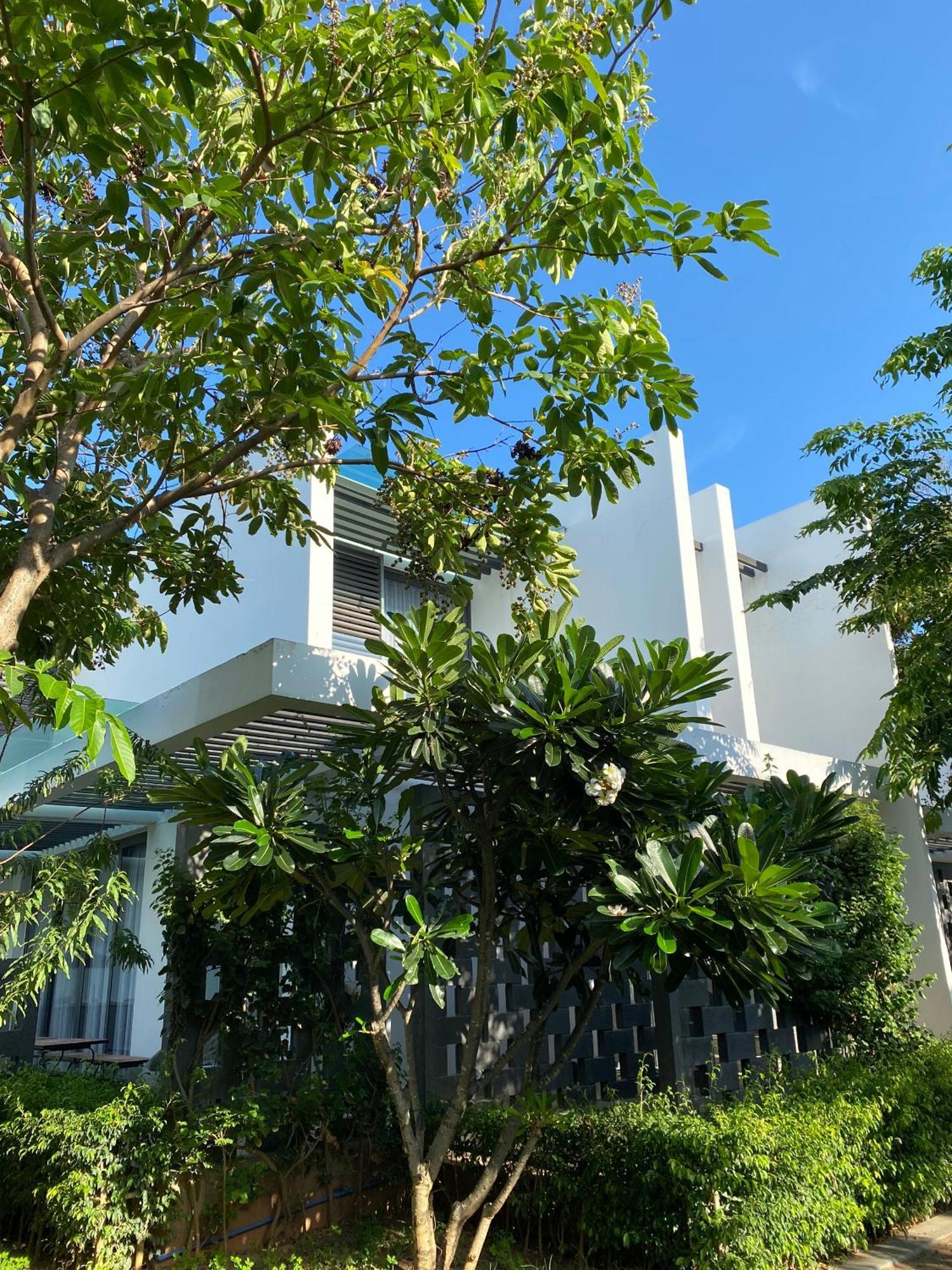 Khach San - Resort Oceanami - 隆海 外观 照片
